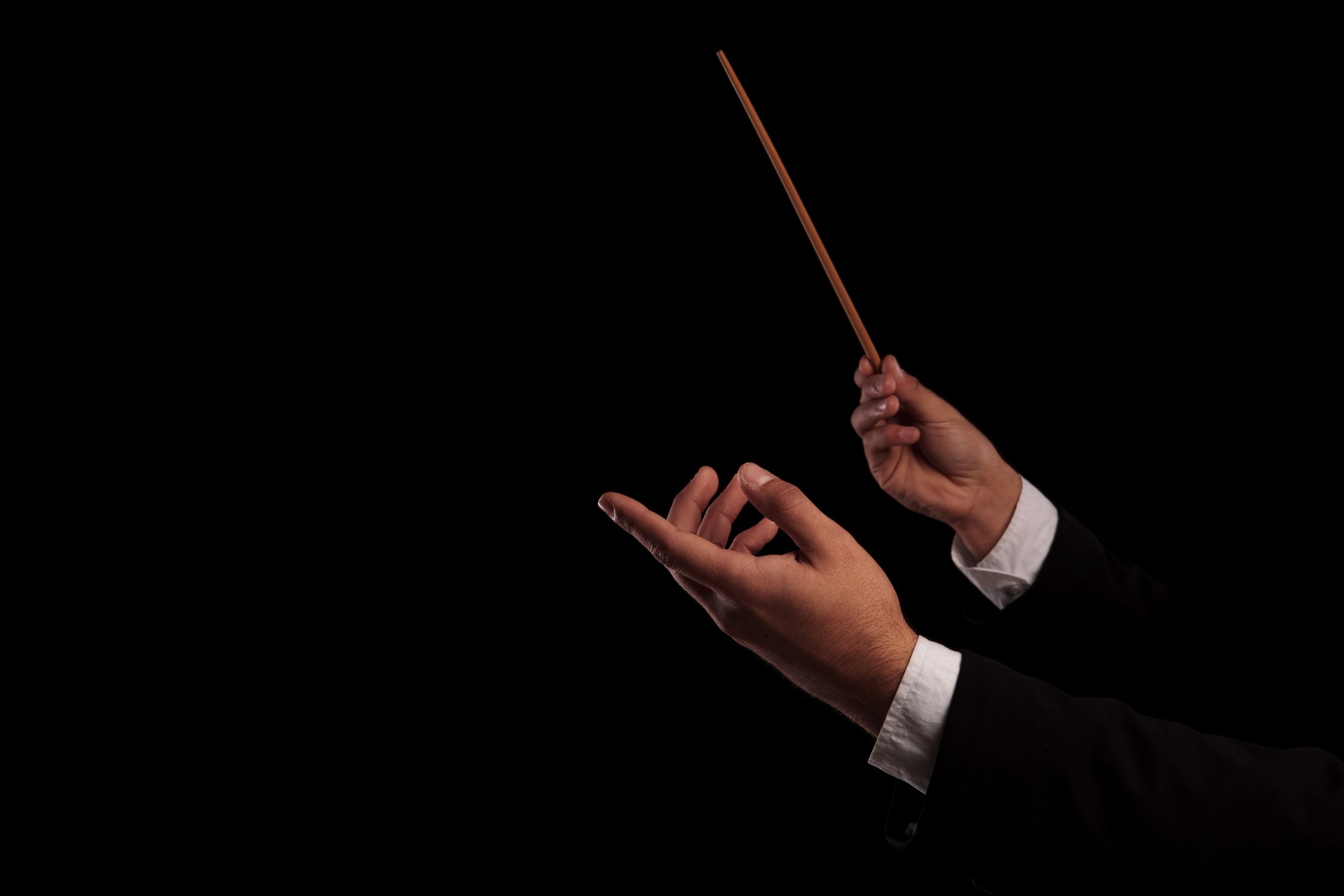 conductor conducting an orchestra